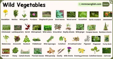 Wild Vegetables Names in English with their Pictures