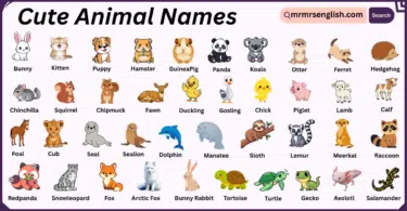 Cute Animals Names in English with Their Pictures
