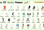 Different Socks Names in English with Their Pictures