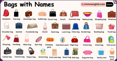 Different Types of Bags Names in English with Their Pictures