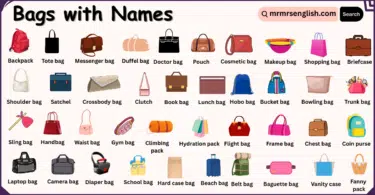 Different Types of Bags Names in English with Their Pictures