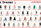 Types of Mini Dresses Names with their Pictures
