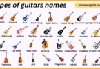 Types of Guitars Names in English with Pictures