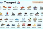 Water Transport Names in English with their Pictures