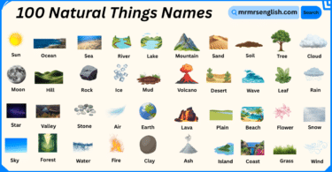 100 Natural Things Names in English with Their Pictures