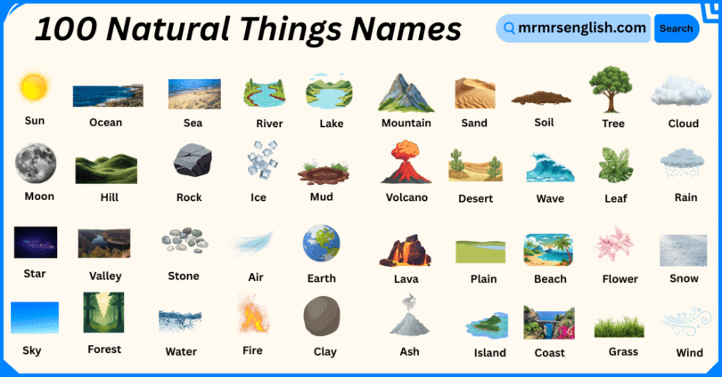 100 Natural Things Names in English with Their Pictures