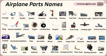 Airplane Parts Names in English with Their Pictures