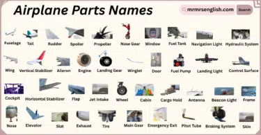 Airplane Parts Names in English with Their Pictures
