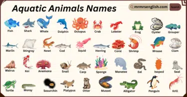 Aquatic Animals Names in English with Their Pictures