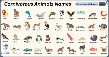Carnivorous Animals Names in English with Their Pictures