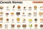 Cereals Names in English with Their Pictures