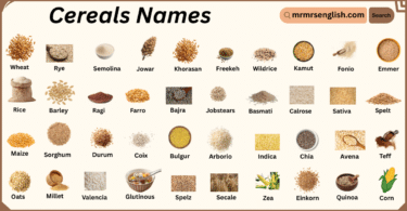 Cereals Names in English with Their Pictures