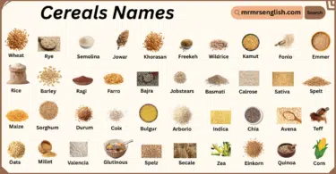 Cereals Names in English with Their Pictures