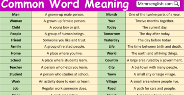 Common Words with Meaning in English with Pictures