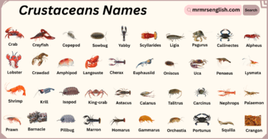 Crustaceans Names in English with Their Pictures