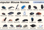 Different Types of Computer Mouse Names with Pictures
