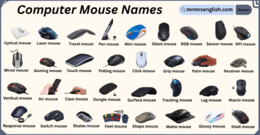 Different Types of Computer Mouse Names with Pictures