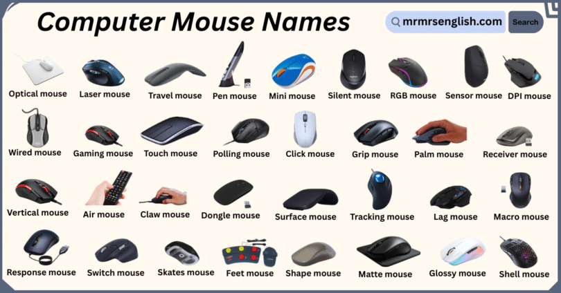 Different Types of Computer Mouse Names with Pictures