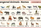 Endangered Animals Names in English with Their Pictures