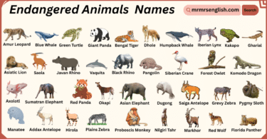 Endangered Animals Names in English with Their Pictures