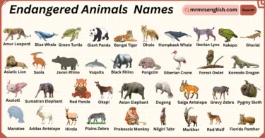 Endangered Animals Names in English with Their Pictures