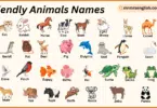Friendly Animals Names in English with Their Pictures