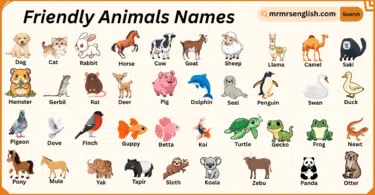 Friendly Animals Names in English with Their Pictures