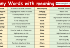 Funny Words with meaning