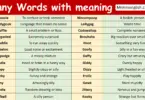 Funny Words with meaning