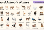 Guard Animals Names in English with Their Pictures