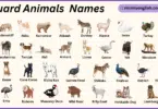 Guard Animals Names in English with Their Pictures