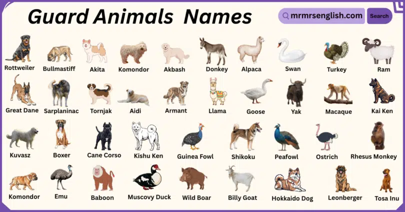 Guard Animals Names in English with Their Pictures