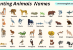 Hunting Animals Names in English with Their Pictures