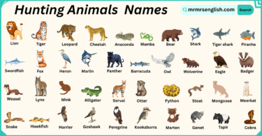 Hunting Animals Names in English with Their Pictures