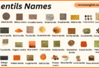 Lentils Names in English with Their Pictures