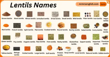 Lentils Names in English with Their Pictures