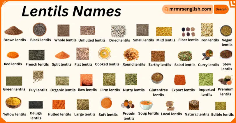 Lentils Names in English with Their Pictures