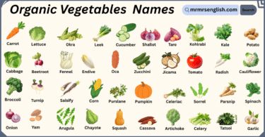 Organic Vegetables Names in English with Their Pictures