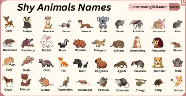 Shy Animals Names in English with Their Pictures