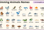 Swimming Animals Names in English with Their Pictures