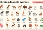 Vertebrates Animals Names in English with Their Pictures