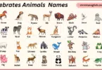 Vertebrates Animals Names in English with Their Pictures