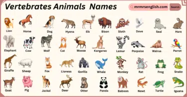 Vertebrates Animals Names in English with Their Pictures
