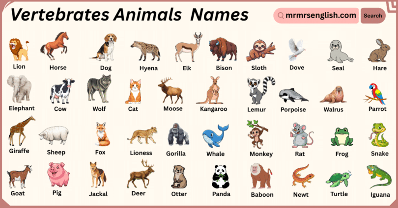 Vertebrates Animals Names in English with Their Pictures