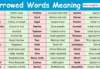 Borrowed Words with Meaning