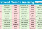 Borrowed Words with Meaning