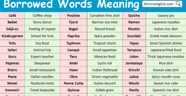 Borrowed Words with Meaning