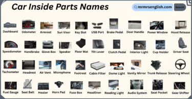Car Inside Parts Names in English with Their Pictures