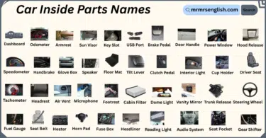 Car Inside Parts Names in English with Their Pictures