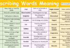 Describing Words with Meaning